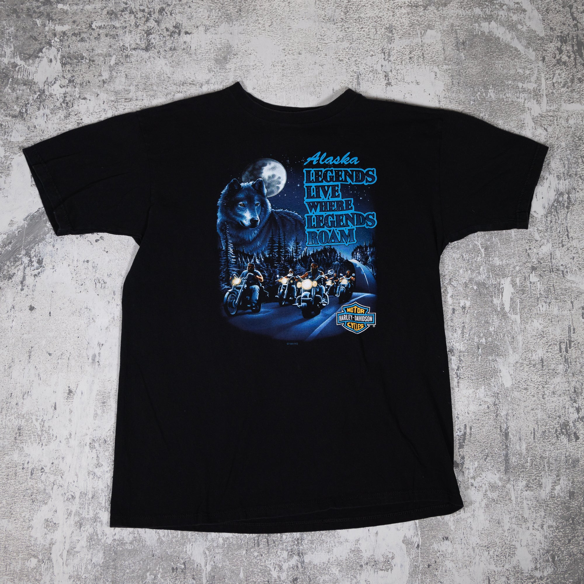 Harley Davidson Alaska Vintage 90s Tee